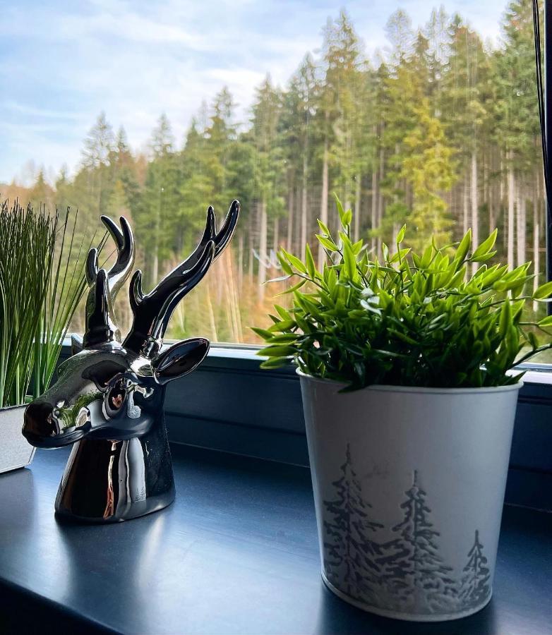 U Jelena - Rodinny U Lesa S Garazi Apartment Harrachov