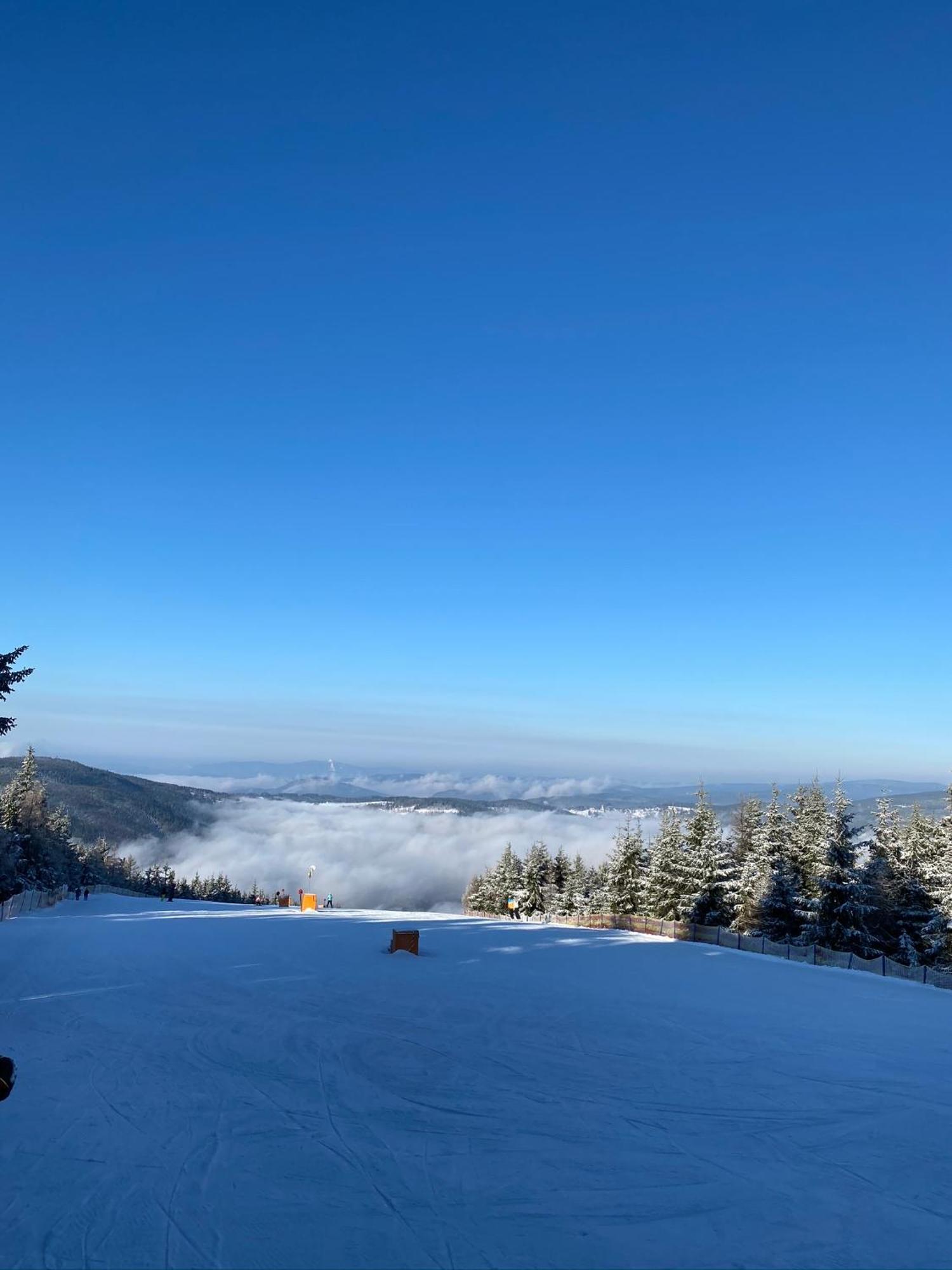 U Jelena - Rodinny U Lesa S Garazi Apartment Harrachov